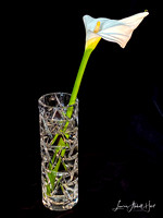 IMG_5740-Edit
