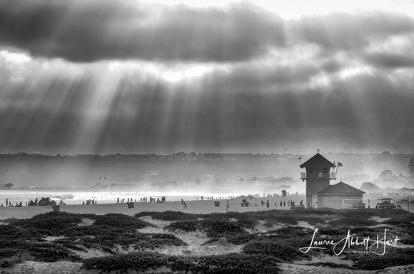 Coronado Rays